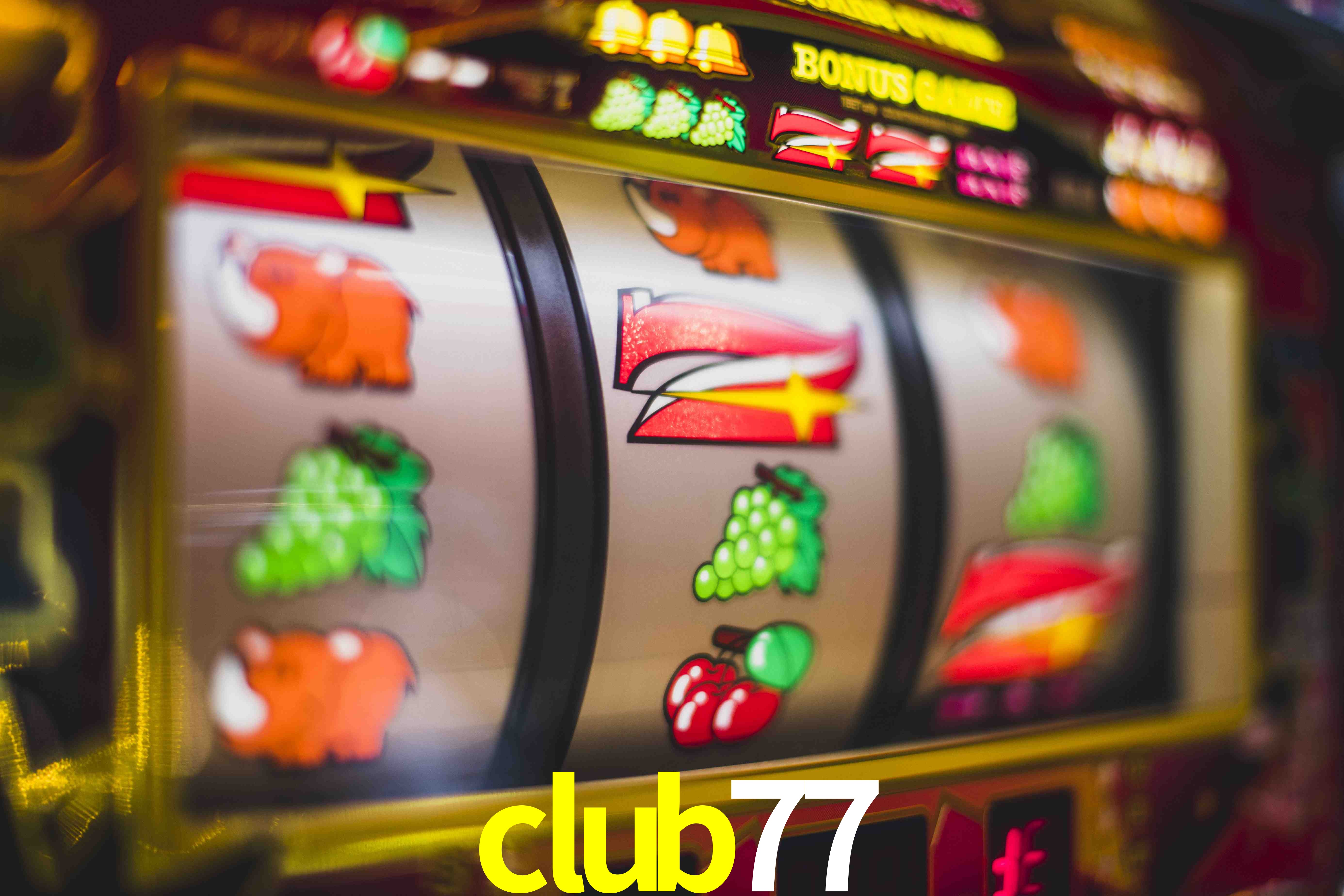 Sports Statistics club77